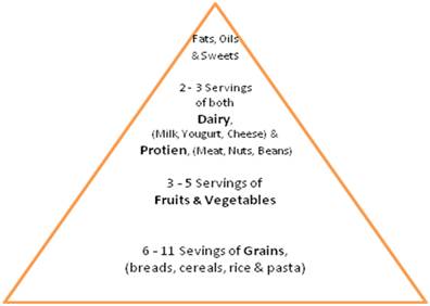 Anorexia Chart