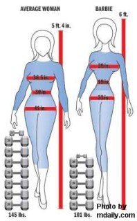 barbie body image graphic