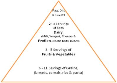 Anorexia charts food pyramid